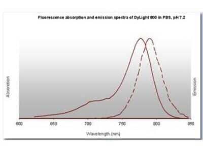 Fluorophore-linked immunosorbent assay: Goat anti-Rat IgM Heavy Chain Secondary Antibody [NBP2-60672]
